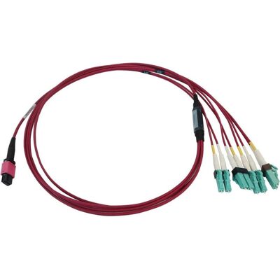 Tripp Lite N845X-01M-8L-MG InfiniBand Glasfaserkabel - Multimode OM4 - Aqua, Schwarz, Magenta Tripp Lite N845X-01M-8L-MG InfiniBand Glasfaserkabel - Multimode OM4 - Aqua, Schwarz, Magenta