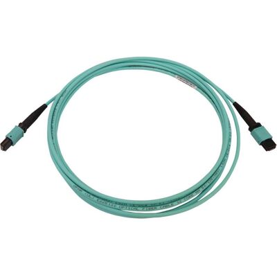 Tripp Lite N844B-03M-12-P - Glasfaserkabel - Aqua - Hochgeschwindigkeits-Datenübertragung Tripp Lite N844B-03M-12-P - Glasfaserkabel - Aqua - Hochgeschwindigkeits-Datenübertragung
