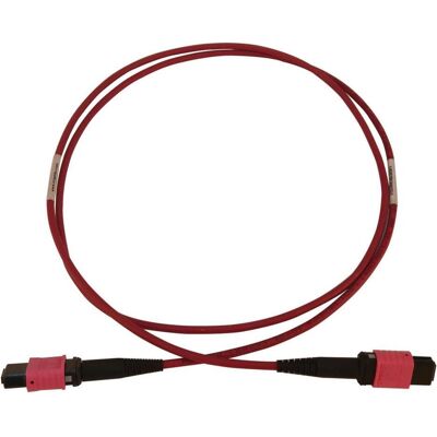 Tripp Lite N845B-01M-12-MG Magenta Glasfaserkabel - Glasfaserkabel Tripp Lite N845B-01M-12-MG Magenta Glasfaserkabel - Glasfaserkabel