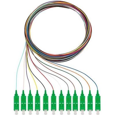 Rutenbeck 12xSC OS2 APC 2m Pigtails OS2 (2 m), Netzwerkkabel Rutenbeck 12xSC OS2 APC 2m Pigtails OS2 (2 m), Netzwerkkabel