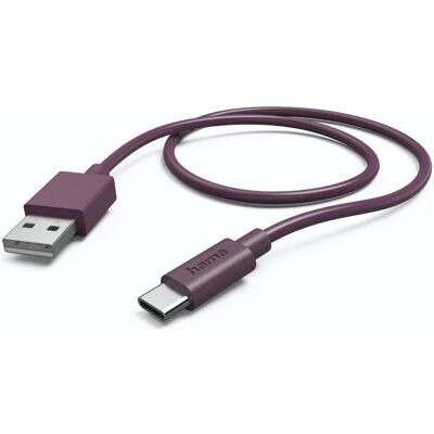 Hama Ladekabel, USB-A - USB-C, 0,75 m, 20 Stück im Display (0.75 m, USB 2.0), USB Kabel Hama Ladekabel, USB-A - USB-C, 0,75 m, 20 Stück im Display (0.75 m, USB 2.0), USB Kabel