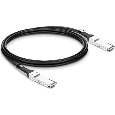Lightwin Optics Direct Attach Kabel Passiv 100GBit QSFP28/QSFP28 1 m (1 m), Netzwerkkabel Lightwin Optics Direct Attach Kabel Passiv 100GBit QSFP28/QSFP28 1 m (1 m), Netzwerkkabel