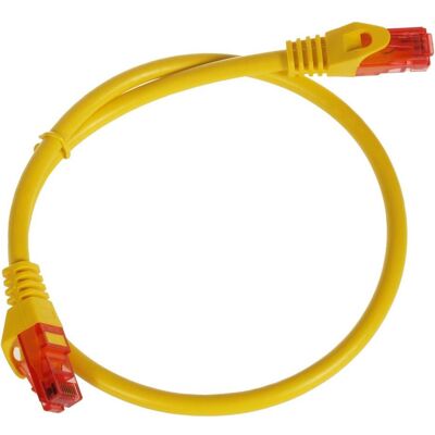 Maclean LAN Netzwerkkabel pr. Ethernet RJ45 UTP cat6 (UTP, CAT6, 0.50 m), Netzwerkkabel Maclean LAN Netzwerkkabel pr. Ethernet RJ45 UTP cat6 (UTP, CAT6, 0.50 m), Netzwerkkabel
