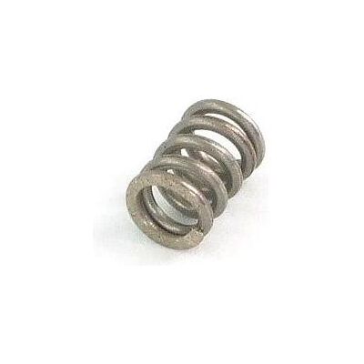 Aquatuning Feder Edelstahl M4 x 8,5mm, PC Lüfter, Silber Aquatuning Feder Edelstahl M4 x 8,5mm, PC Lüfter, Silber