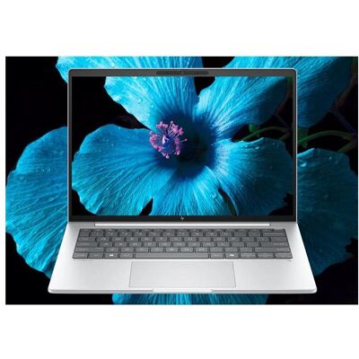 HP EliteBook 8 G1i 14 inch Notebook AI PC (14", 512 GB, 32 GB, DE), Notebook, Silber HP EliteBook 8 G1i 14 inch Notebook AI PC (14", 512 GB, 32 GB, DE), Notebook, Silber