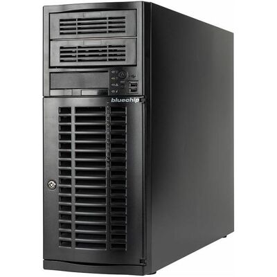 Bluechip SERVERline T30333s (32 GB, Tower Server), Server Bluechip SERVERline T30333s (32 GB, Tower Server), Server