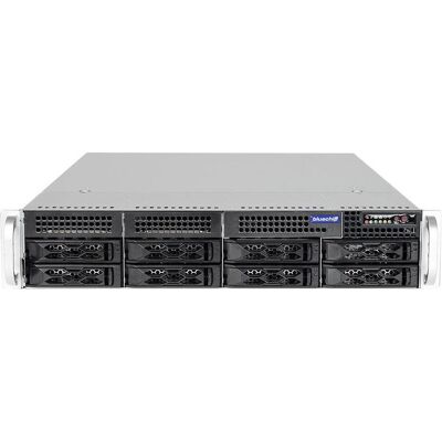 Bluechip SERVERline R32315r (32 GB, Rack Server), Server Bluechip SERVERline R32315r (32 GB, Rack Server), Server