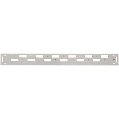 Telegärtner 19" Frontplatte 1HE für 12xLCD/Basiseco TN-FP12LCD, Server Zubehör Telegärtner 19" Frontplatte 1HE für 12xLCD/Basiseco TN-FP12LCD, Server Zubehör