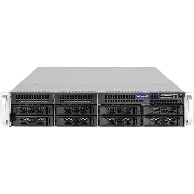 Bluechip SERVERline R42317s (32 GB, Rack Server), Server Bluechip SERVERline R42317s (32 GB, Rack Server), Server