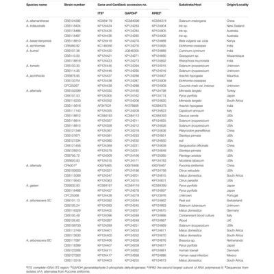 Fujitsu Server ACC Kabelsatz für RAID Controller (SAS), Interne Kabel (PC) Fujitsu Server ACC Kabelsatz für RAID Controller (SAS), Interne Kabel (PC)