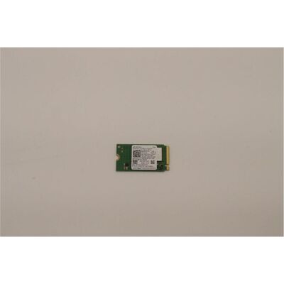 Lenovo 256GB M.2 2242 PCIe 4.0 NVMe - SSD Lenovo 256GB M.2 2242 PCIe 4.0 NVMe - SSD