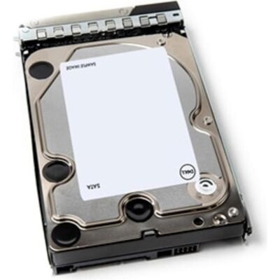 Dell Kunden-Kit - Festplatte - 12 TB - Hot-Swap - 3.5" (8.9 cm) (12 TB, 3.5"), Festplatte Dell Kunden-Kit - Festplatte - 12 TB - Hot-Swap - 3.5" (8.9 cm) (12 TB, 3.5"), Festplatte