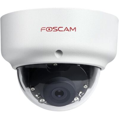 Foscam D2EP Aussen-IP-Kamera (1920 x 1080 Pixels), Netzwerkkamera, Grau Foscam D2EP Aussen-IP-Kamera (1920 x 1080 Pixels), Netzwerkkamera, Grau