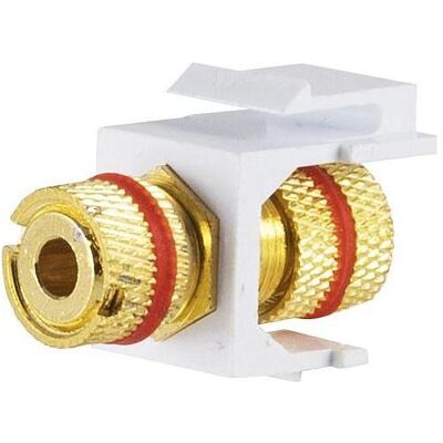 Shiverpeaks S/CONN maximum connectivity Netzwerk Adapter-Keystone Verbinder Audio Bananen-Buchse vergoldet, rot, Stromkabel, Rot, Weiss, Gold Shiverpeaks S/CONN maximum connectivity Netzwerk Adapter-Keystone Verbinder Audio Bananen-Buchse vergoldet, rot, Stromkabel, Rot, Weiss, Gold