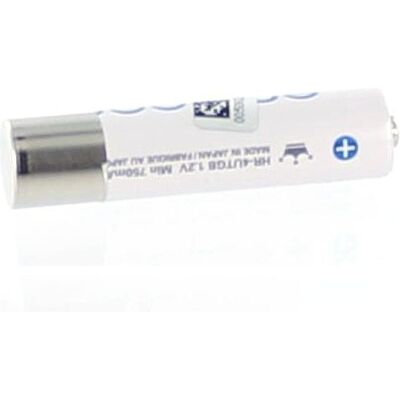 AGI 20695 - Wiederaufladbarer NiMH Akku - 1,2V - AAA - Weiss - Batterietyp AGI 20695 - Wiederaufladbarer NiMH Akku - 1,2V - AAA - Weiss - Batterietyp