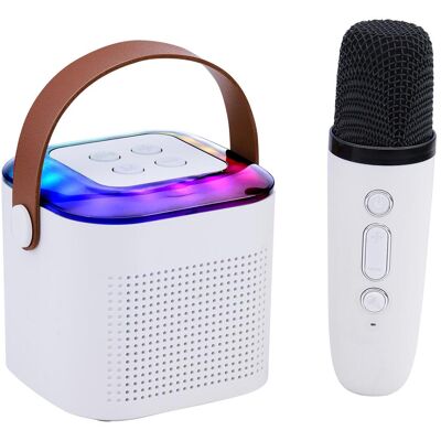 Edco Karaoke Set mini 2pc 5W (Passiv), PA Lautsprecher, Weiss Edco Karaoke Set mini 2pc 5W (Passiv), PA Lautsprecher, Weiss