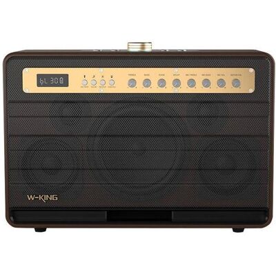 W-king Wireless Bluetooth Speaker K6L 120W (brown) (8 h), Bluetooth Lautsprecher, Bronze W-king Wireless Bluetooth Speaker K6L 120W (brown) (8 h), Bluetooth Lautsprecher, Bronze