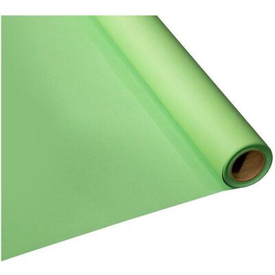 Manfrotto Chroma Green Hintergrund - 2,75×11m Manfrotto Chroma Green Hintergrund - 2,75×11m