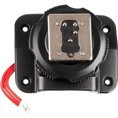 Godox TT685 hot shoe Olympus/Panasonic (Blitzgerät Adapter), Blitzgerät Zubehör, Schwarz Godox TT685 hot shoe Olympus/Panasonic (Blitzgerät Adapter), Blitzgerät Zubehör, Schwarz