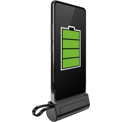 Powerneed EP50 (5000 mAh, 10 W, 18.50 Wh), Powerbank, Schwarz Powerneed EP50 (5000 mAh, 10 W, 18.50 Wh), Powerbank, Schwarz
