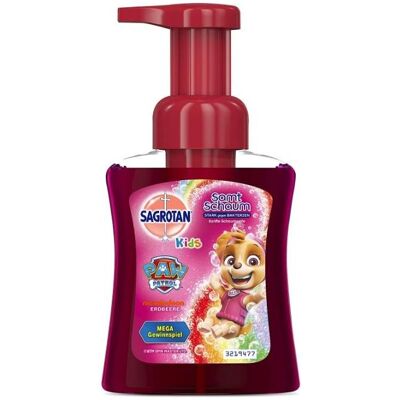 Sagrotan, Handseife, Samt Schaum (Flüssigseife, 250 ml) Sagrotan, Handseife, Samt Schaum (Flüssigseife, 250 ml)