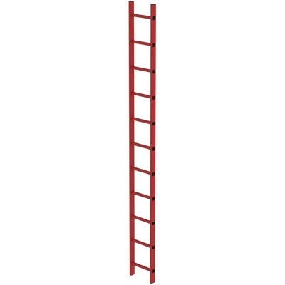 Munk Günzburger Steigtechnik GFK Schachtleiter - 11 Sprossen - 3,08m Munk Günzburger Steigtechnik GFK Schachtleiter - 11 Sprossen - 3,08m