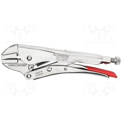 Rennsteig, Zange, Gripzange geraden Backen 250mm (250 mm) Rennsteig, Zange, Gripzange geraden Backen 250mm (250 mm)