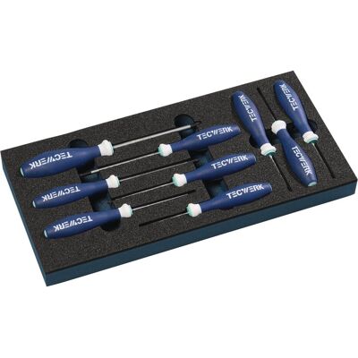 Tecwerk, Schraubenzieher, Werkzeugmodul 9-teilig 1/3-Modul T 6-T 30 Tecwerk, Schraubenzieher, Werkzeugmodul 9-teilig 1/3-Modul T 6-T 30