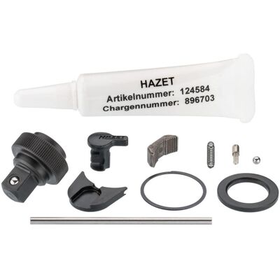 HAZET, Ratsche, Ersatzteil Satz Knarr-Rad 863HP/11 (1/4") HAZET, Ratsche, Ersatzteil Satz Knarr-Rad 863HP/11 (1/4")