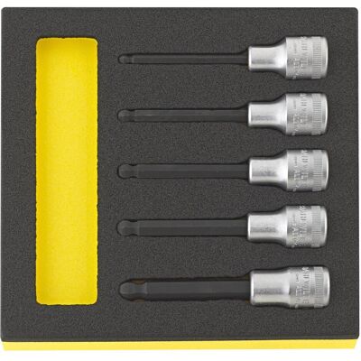 Stahlwille, Steckschlüssel + Stecknuss, TCS 54KK/5 96838116 Schraubendrehereinsatz (10 mm, 5 mm, 6 mm, 7 mm, 8 mm) Stahlwille, Steckschlüssel + Stecknuss, TCS 54KK/5 96838116 Schraubendrehereinsatz (10 mm, 5 mm, 6 mm, 7 mm, 8 mm)