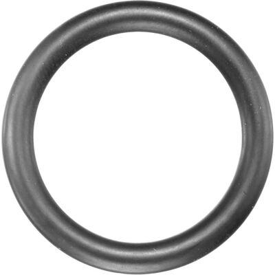 ASW Wekador Kraft-Gummiring 1/4" für Durchmesser 13 mm ASW Wekador Kraft-Gummiring 1/4" für Durchmesser 13 mm