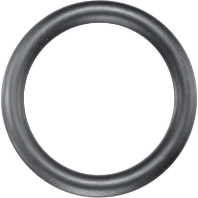 ASW Wekador Kraft-Gummiring - 1'' - Gasket Ring ASW Wekador Kraft-Gummiring - 1'' - Gasket Ring