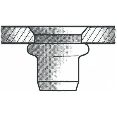 Gesipa, Nieten, Blindnietmutter Al M10x12x21 Senkkopf KS 4,0-6,5mm (Pack mit 100 St) Gesipa, Nieten, Blindnietmutter Al M10x12x21 Senkkopf KS 4,0-6,5mm (Pack mit 100 St)