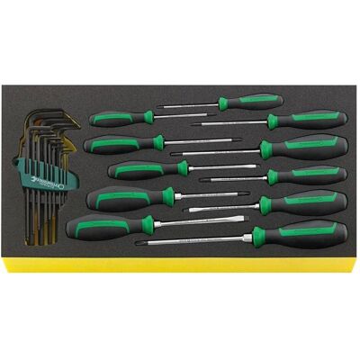 Stahlwille, Zubehör Werkzeugaufbewahrung, TCS WT 4622-4650-1 Schraubendrehersatz DRALL+24-teilig in TCS Einlage Stahlwille, Zubehör Werkzeugaufbewahrung, TCS WT 4622-4650-1 Schraubendrehersatz DRALL+24-teilig in TCS Einlage