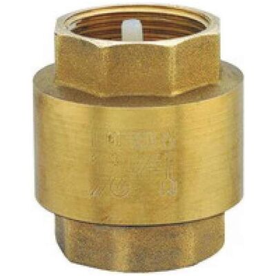FERRON, Ventil, 1 ”non-return valve ZZ3 FERRON, Ventil, 1 ”non-return valve ZZ3