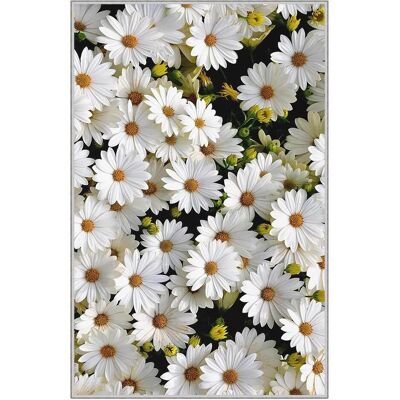 Confetti Carpets, Kinderteppich, Jemma (50 x 80 cm) Confetti Carpets, Kinderteppich, Jemma (50 x 80 cm)
