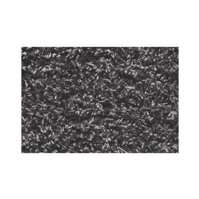 Hamat, Fussmatte, Trockenlaufmatte Aquastop Anthrazit 60X100 (100 x 60 cm) Hamat, Fussmatte, Trockenlaufmatte Aquastop Anthrazit 60X100 (100 x 60 cm)