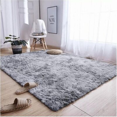 Strado, Teppich, Carpet Ombre Shaggy 250x350 OmbreSilver (light gray) universal (250 x 350 cm) Strado, Teppich, Carpet Ombre Shaggy 250x350 OmbreSilver (light gray) universal (250 x 350 cm)