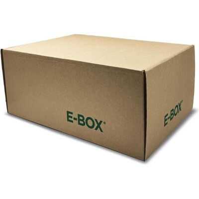 Blasetti, Aufbewahrungsbox, Packung mit 10 E-Box XL Boxen (48 cm) Blasetti, Aufbewahrungsbox, Packung mit 10 E-Box XL Boxen (48 cm)