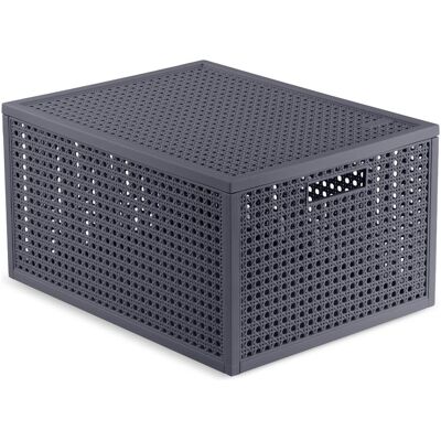 Curver, Aufbewahrungsbox, KAYA AufbewahrungsboxM20l grbl (29.60 cm, 20 l) Curver, Aufbewahrungsbox, KAYA AufbewahrungsboxM20l grbl (29.60 cm, 20 l)