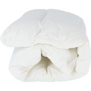 Fiam, Sitzkissen, Auflage FAT für Sessel Fiesta (120 x 60 cm) Fiam, Sitzkissen, Auflage FAT für Sessel Fiesta (120 x 60 cm)