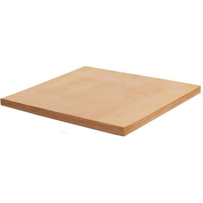 VAR, Werkbank Zubehör, Arbeitsplatte Buche 1er T:69 cm (Holz) VAR, Werkbank Zubehör, Arbeitsplatte Buche 1er T:69 cm (Holz)