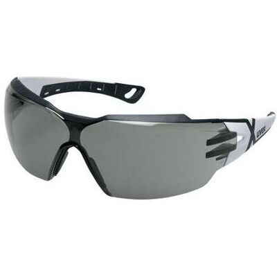Uvex, Schutzbrille + Gesichtsschutz, pheos cx2 Uvex, Schutzbrille + Gesichtsschutz, pheos cx2
