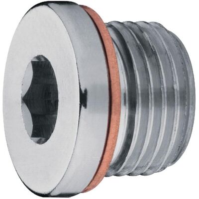 BRW, Schlauchanschluss + Schlauchverbinder, Verschlussschraube mit Bund und Kupferscheibe (32 mm) BRW, Schlauchanschluss + Schlauchverbinder, Verschlussschraube mit Bund und Kupferscheibe (32 mm)