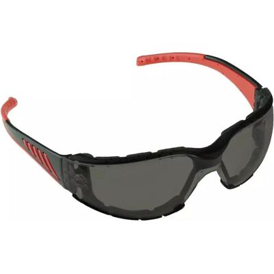 Dedra, Schutzbrille + Gesichtsschutz, Schutzbrille schwarze Linse Dedra, Schutzbrille + Gesichtsschutz, Schutzbrille schwarze Linse