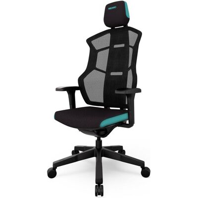 RECARO Aer, Gaming Stuhl, Schwarz, Blau RECARO Aer, Gaming Stuhl, Schwarz, Blau