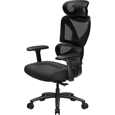 Thunder X3 ThunderX3 XTC Cushion ergonomischer Gaming-Stuhl - schwarz, Gaming Stuhl, Schwarz Thunder X3 ThunderX3 XTC Cushion ergonomischer Gaming-Stuhl - schwarz, Gaming Stuhl, Schwarz
