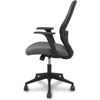 Piqueras y Crespo, Bürostuhl, Bürostuhl Ergo529 Foröl S21PNRN Grau (47 - 56 cm) Piqueras y Crespo, Bürostuhl, Bürostuhl Ergo529 Foröl S21PNRN Grau (47 - 56 cm)