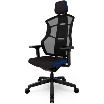 RECARO Aer, Gaming Stuhl, Schwarz, Blau RECARO Aer, Gaming Stuhl, Schwarz, Blau