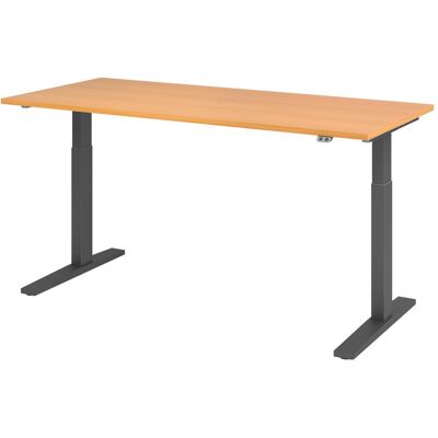 Hammerbacher Elektrischer Höhenverstellbarer Schreibtisch - Rechteck, Grau C-Fuß - Ergonomischer Arbeitsplatz Hammerbacher Elektrischer Höhenverstellbarer Schreibtisch - Rechteck, Grau C-Fuß - Ergonomischer Arbeitsplatz